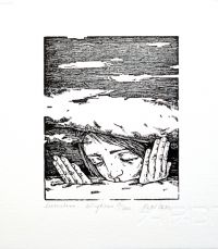 "Lumetekk" kõrgtrükk raamis 149€